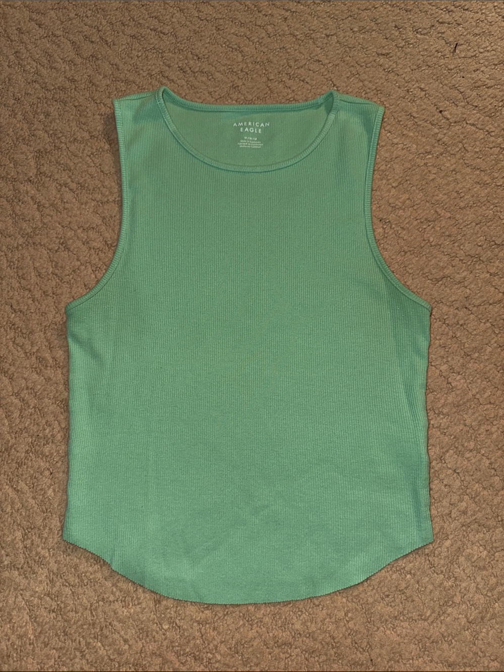 American Eagle Mint Ribbed Tank Top
